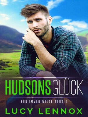 cover image of Hudsons Glück